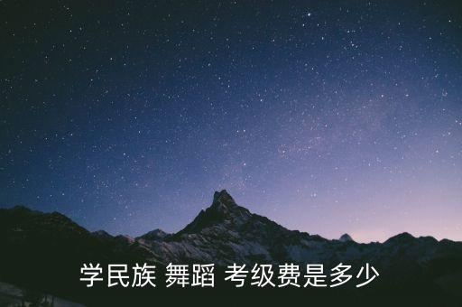 学民族 舞蹈 考级费是多少
