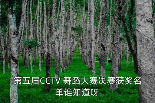 第五届CCTV 舞蹈大赛决赛获奖名单谁知道呀