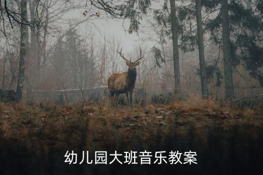 幼儿园大班音乐教案