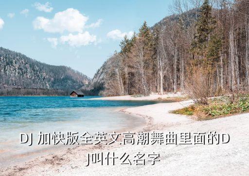 DJ 加快版全英文高潮舞曲里面的DJ叫什么名字