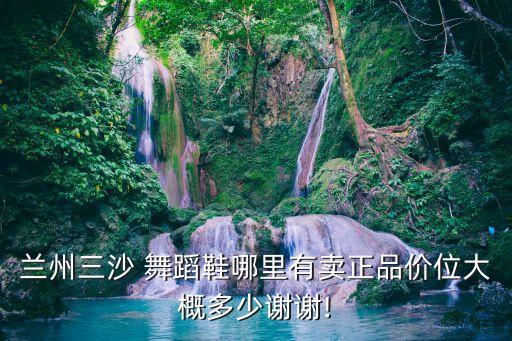 兰州三沙 舞蹈鞋哪里有卖正品价位大概多少谢谢!