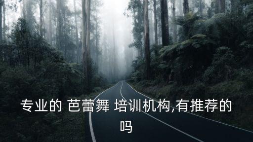 专业的 芭蕾舞 培训机构,有推荐的吗