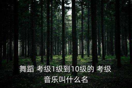  舞蹈 考级1级到10级的 考级 音乐叫什么名