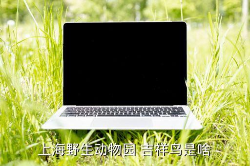 舞蹈吉祥鸟教学,吉祥鸟舞蹈视频