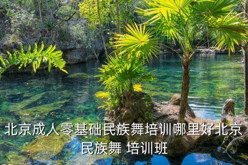 北京成人零基础民族舞培训哪里好北京民族舞 培训班