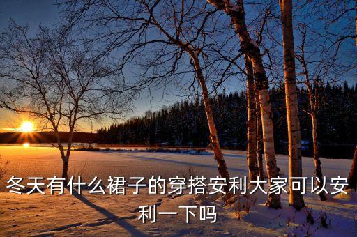 冬天有什么裙子的穿搭安利大家可以安利一下吗