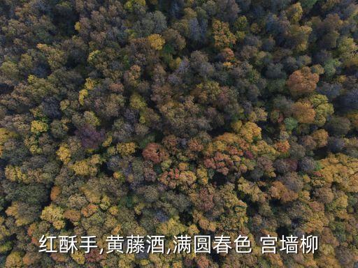 团扇舞蹈宫墙柳教学版,团扇桃花渡舞蹈分解教学视频