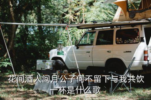 花间酒舞蹈教程分解动作