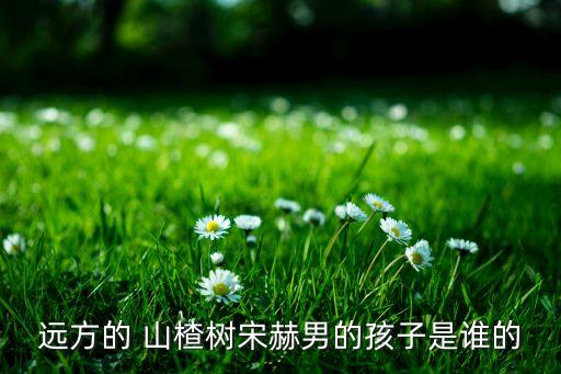 远方的 山楂树宋赫男的孩子是谁的