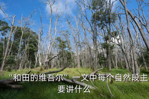 “和田的维吾尔”一文中每个自然段主要讲什么
