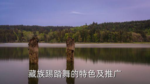 藏式舞蹈团队,一个舞蹈团队最重要的是什么