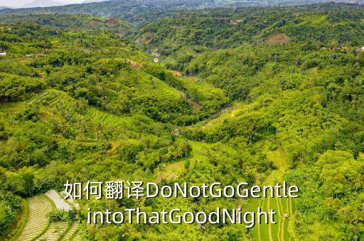 goog night舞蹈教学