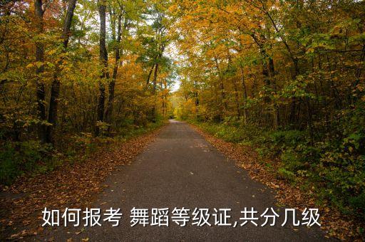 如何报考 舞蹈等级证,共分几级