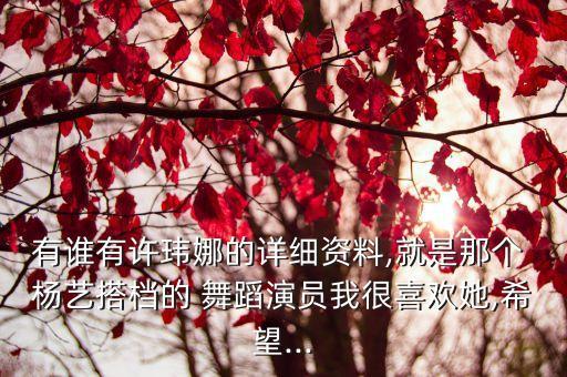 杨艺中老年节日舞蹈