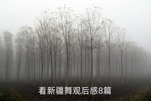 看新疆舞观后感8篇
