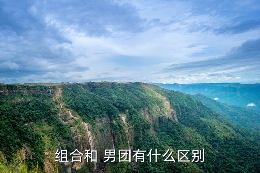 组合和 男团有什么区别