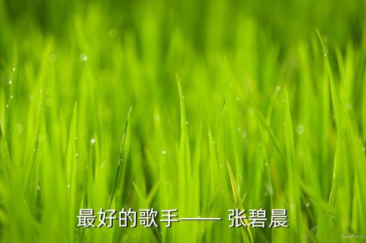 最好的歌手—— 张碧晨