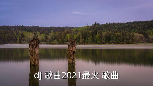 dj 歌曲2021最火 歌曲