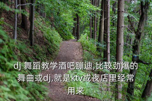 dj 舞蹈教学酒吧蹦迪,比较劲爆的舞曲或dj,就是ktv或夜店里经常用来