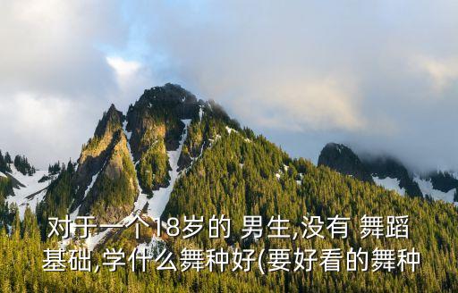 对于一个18岁的 男生,没有 舞蹈 基础,学什么舞种好(要好看的舞种