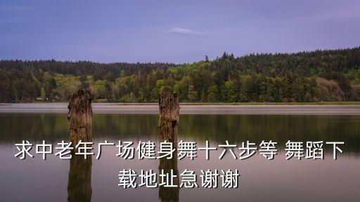 求中老年广场健身舞十六步等 舞蹈下载地址急谢谢