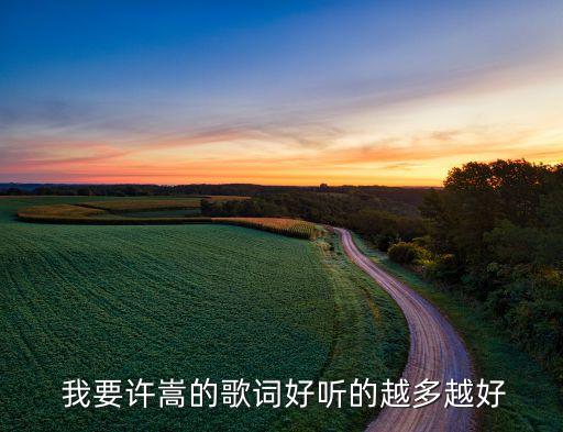  我要许嵩的歌词好听的越多越好