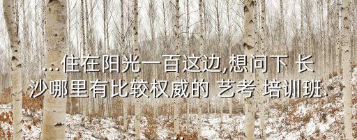 ...住在阳光一百这边,想问下 长沙哪里有比较权威的 艺考 培训班...