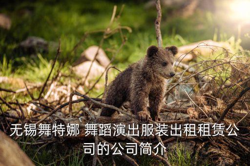 无锡舞特娜 舞蹈演出服装出租租赁公司的公司简介