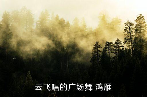 云飞唱的广场舞 鸿雁