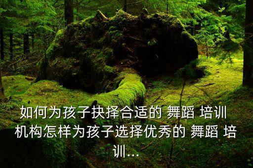 如何为孩子抉择合适的 舞蹈 培训 机构怎样为孩子选择优秀的 舞蹈 培训...