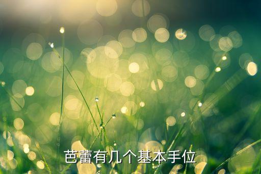 芭蕾有几个基本手位