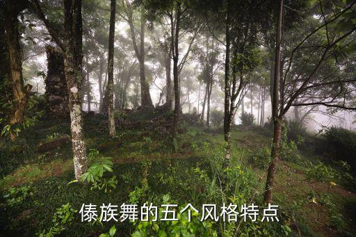 傣族舞蹈基本手型脚型