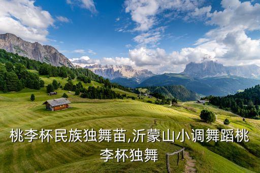 桃李杯民族独舞苖,沂蒙山小调舞蹈桃李杯独舞