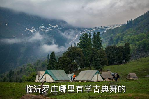 临沂河东舞蹈班,河东舞蹈学校