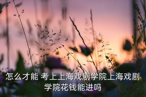考上戏舞蹈学校,初中没考上高中可以去哪个舞蹈学校