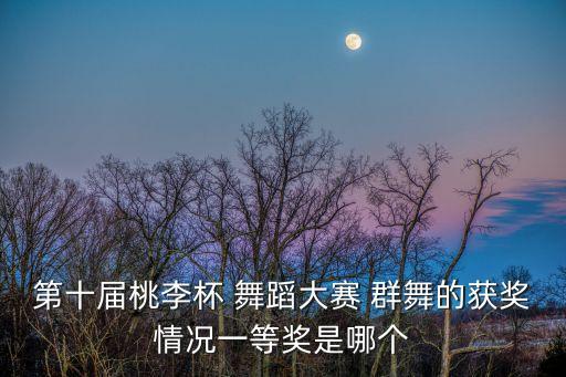 第十届桃李杯 舞蹈大赛 群舞的获奖情况一等奖是哪个