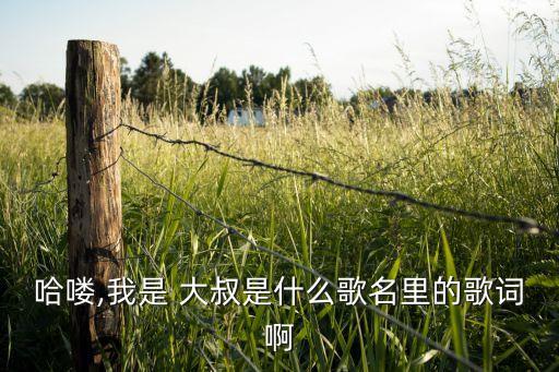 哈喽,我是 大叔是什么歌名里的歌词啊