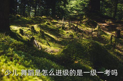 舞蹈基本功摆臂