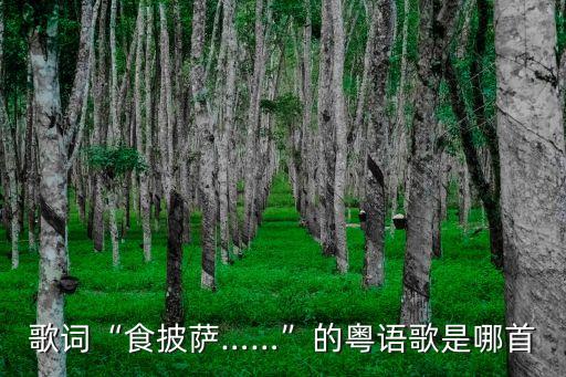 歌词“食披萨……”的粤语歌是哪首