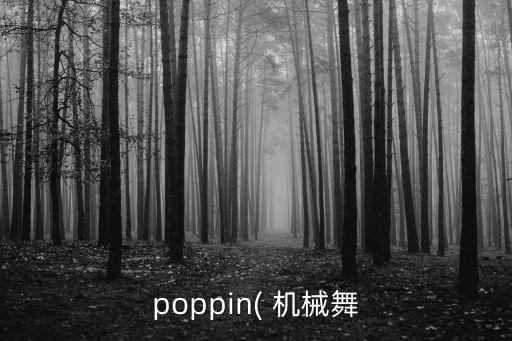 poppin( 机械舞