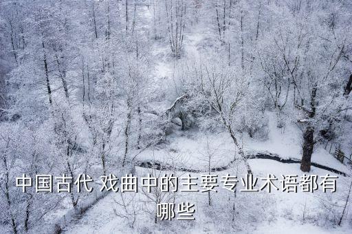 戏曲舞蹈唱花脸,戏曲花脸化妆
