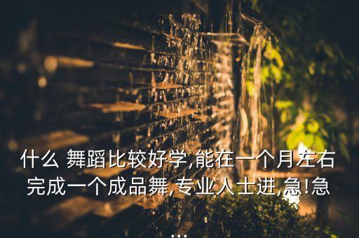 什么 舞蹈比较好学,能在一个月左右完成一个成品舞,专业人士进,急!急...