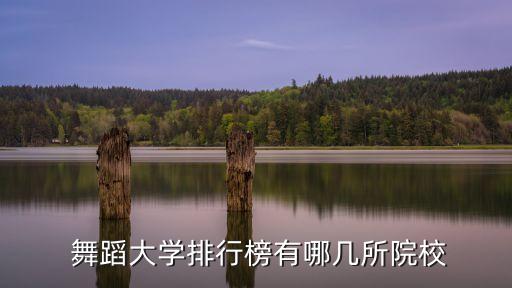  舞蹈大学排行榜有哪几所院校
