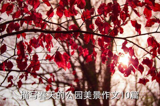 描写春天的公园美景作文10篇