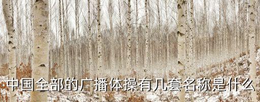 中国全部的广播体操有几套名称是什么