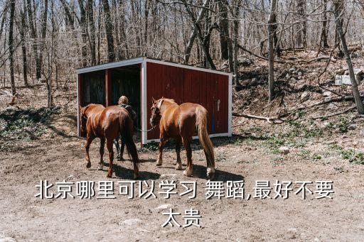 北京哪里可以学习 舞蹈,最好不要太贵