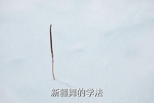 新疆舞的学法