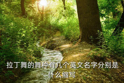  拉丁舞的舞种有几个英文名字分别是什么缩写