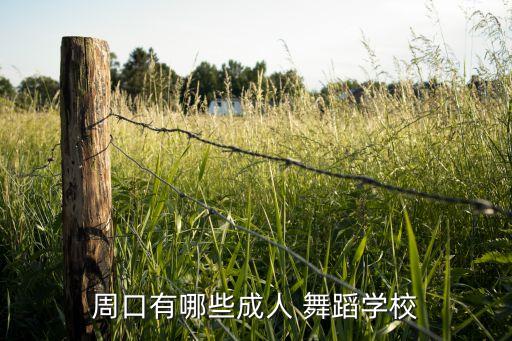 周口有哪些成人 舞蹈学校