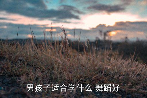 男孩子适合学什么 舞蹈好